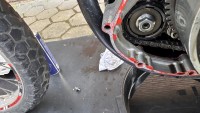 IMG_6580.jpeg