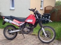 3C45AAAF-8B3B-4D10-90B8-B469E9D79F65.jpeg (38.57 KiB) 4857 mal betrachtet Die inneren Werte zählen