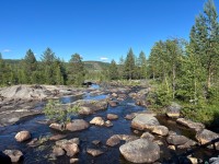 IMG_1026.jpeg