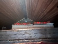 IMG_1051.jpeg