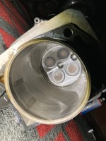 IMG_3740.jpeg
