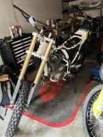 IMG_4367.jpeg