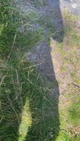 f575f0fb-79d8-467b-bc66-aeb9d9a37cae.jpeg