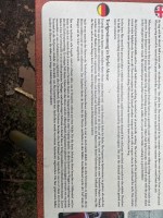 IMG_1171.jpeg