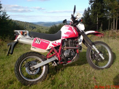 ...um uns nur der endlos weite Pfälzer Wald...(und die geschlagene Bandit versteckt sich...)