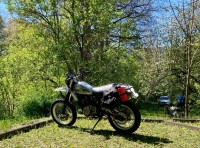 IMG_6540.jpeg