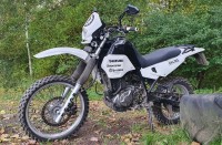 DR650_2.jpg