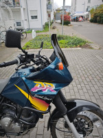 IMG_20251010_151237.jpg (232.38 KiB) 308 mal betrachtet Tigerparts Rallye Scheibe, steiler Verlauf mit 32cm ab Kante