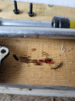 WhatsApp Image 2025-12-11 at 22.12.31.jpeg