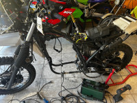IMG_2615.jpeg