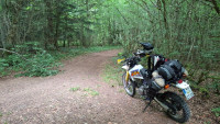 20260608_120750.jpg