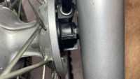 IMG_4660.jpeg