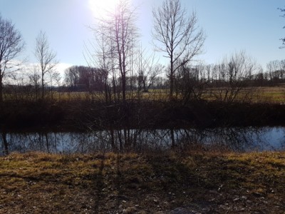 opt_ 20170226_151906.jpg