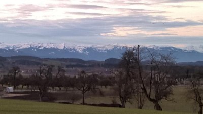 Von heute..... und dieses Jahr gab es noch nicht soviel Schnee ..... wird also.....