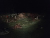 79680E97-C2ED-4BBC-A252-1C51B8ABDED5.jpeg