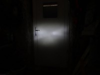 LED F.jpg