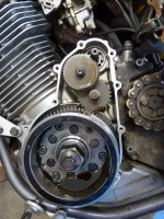 IMG_1842.JPG