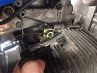 IMG_2806.JPG