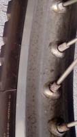 IMG_20200501_135126.jpg