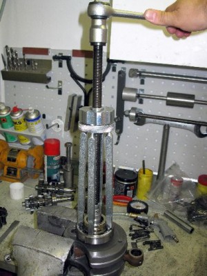 tigerparts part 1 22.jpg