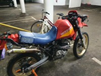 20201103_133630.jpg