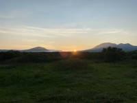 4041D5DE-FE01-4064-B5E7-B39DEE0F1C63.jpeg