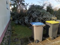 Die Stand bis gestern Abend noch im Garten. Nun ruht sie in Frieden neben dem Haus. ;)