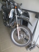 IMG_4994.JPG