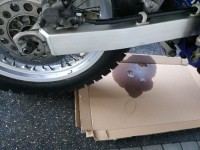 Moin Stefan so sieht es gerade unter dem Moped aus und natürlich stinkt es nach Speit
