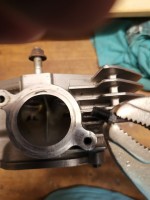 IMG_20220726_165609.jpg (185.46 KiB) 1043 mal betrachtet ...... aber zumindest ein Anfang ;)