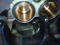 IMG_20200320_183550.jpg (398.54 KiB) 2831 mal betrachtet ...und vorsichtig die Kölbchen eingeführt...