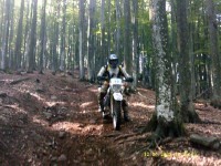 Dscf0018.jpg
