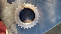 IMG_20230210_130606_643.jpg