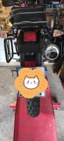 IMG_20230606_193151_Original.jpeg
