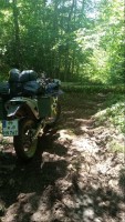 IMG_20230617_111220_089.jpg