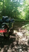 IMG_20230617_111220_089~2.jpg